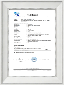 Home 电池测试报告